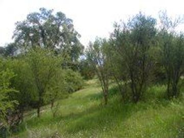 Parcela en Venta en Oasis la Campana