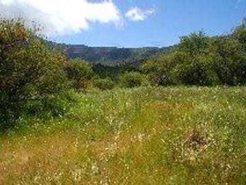 Parcela en Venta en Oasis la Campana