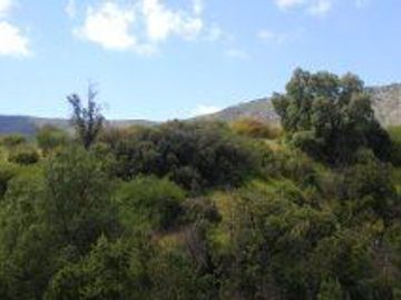 Parcela en Venta en Oasis la Campana