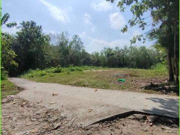 Dijual Tanah Rapi, Area Sedayu, Sertipikat SHM