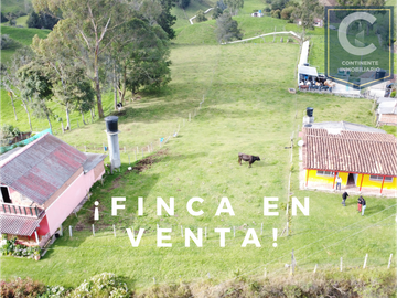 Venta Casa Finca vereda Pantanillo del municipio de San Pedro