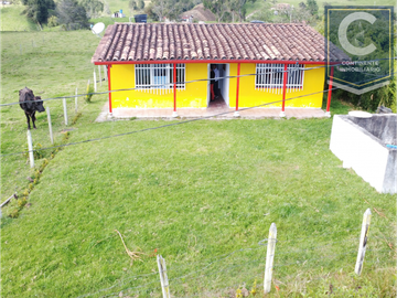 Venta Casa Finca vereda Pantanillo del municipio de San Pedro