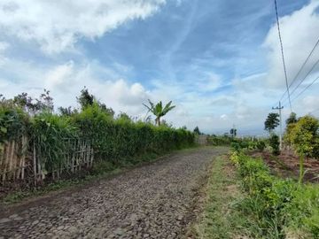 OMSET JUTAAN, Tanah Kebun jeruk produktif kota batu