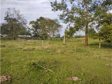 HERMOSA FINCA PLANA EN EL EJE CAFETERO