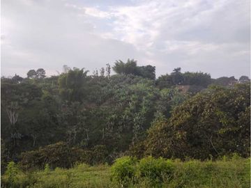 HERMOSA FINCA PLANA EN EL EJE CAFETERO