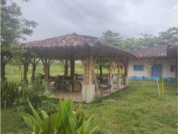 HERMOSA FINCA PLANA EN EL EJE CAFETERO