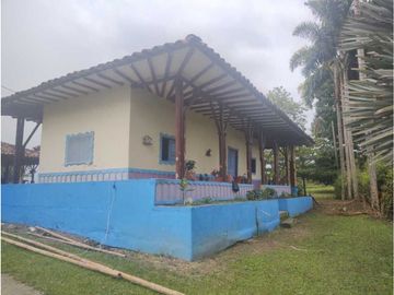HERMOSA FINCA PLANA EN EL EJE CAFETERO