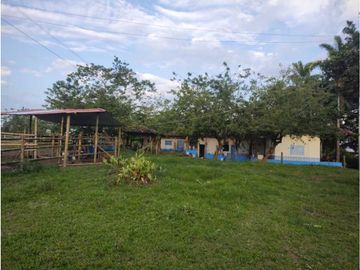 HERMOSA FINCA PLANA EN EL EJE CAFETERO