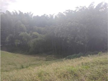 HERMOSA FINCA PLANA EN EL EJE CAFETERO