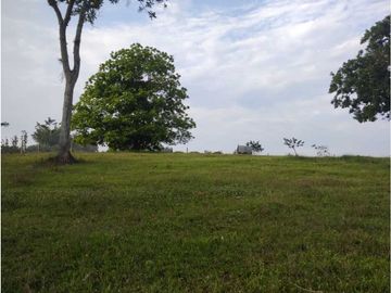 HERMOSA FINCA PLANA EN EL EJE CAFETERO