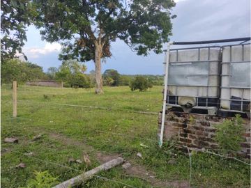 HERMOSA FINCA PLANA EN EL EJE CAFETERO