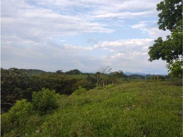 HERMOSA FINCA PLANA EN EL EJE CAFETERO