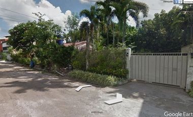 Commercial/Residential Lot for Sale - Mabolo, Cebu City