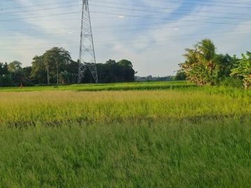 RUMAH MODERN 2 LANTAI SIAP HUNI HANYA 700 JUTAAN DI TABANAN
