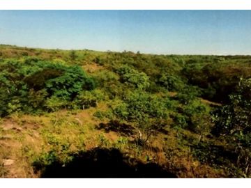 SE VENDE TERRENO EN LA MESA DEL CENTRO 63 HECTAREAS