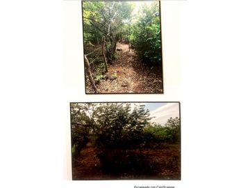 SE VENDE TERRENO EN LA MESA DEL CENTRO 63 HECTAREAS