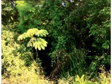 SE VENDE TERRENO EN LA MESA DEL CENTRO 63 HECTAREAS