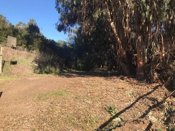 SITIO EN CACHAGUA