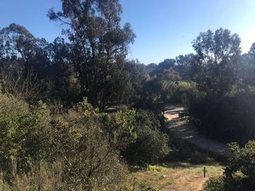 SITIO EN CACHAGUA