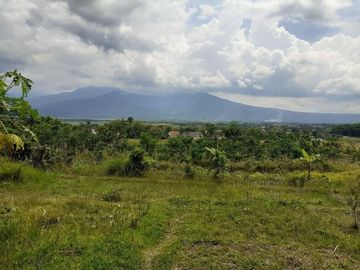 Tanah ELING BENING SIAP BANGUN Bawen dan sekitarnya