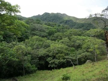 TERRENO SANTA FE DE VERAGUAS