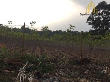 Tanah Darat dekat Perumahan Parungkuda Sukabumi | IWANS