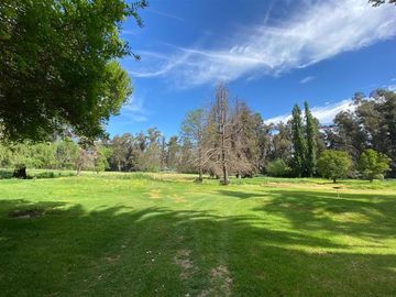 Local Comercial en Venta en La cartuja