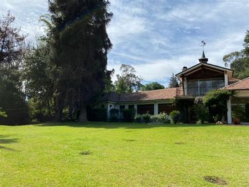 Local Comercial en Venta en La cartuja
