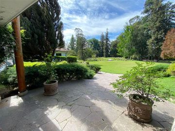Local Comercial en Venta en La cartuja