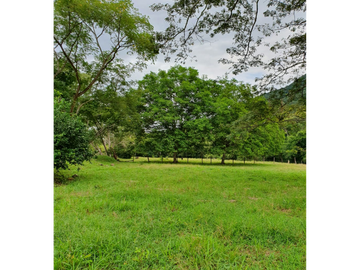 Maat Vende Finca en Guaduas-El Dindal, 55.000m2 $600Millones