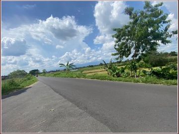 Dijual Tanah Megah Dan Murah di Tlogo