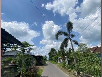 Dijual Tanah Megah Dan Murah di Tlogo