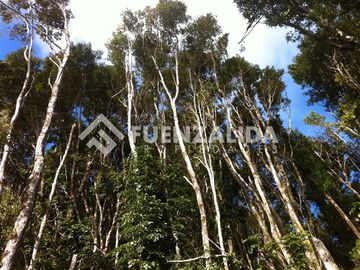Parcelas en venta Lago Huillinco, Castro