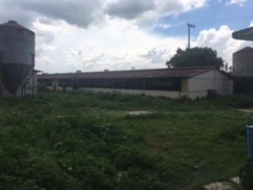 Terreno de 14 hectáreas en venta con granja avicola en Zumpango