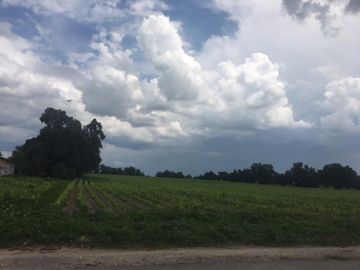 Terreno de 14 hectáreas en venta con granja avicola en Zumpango