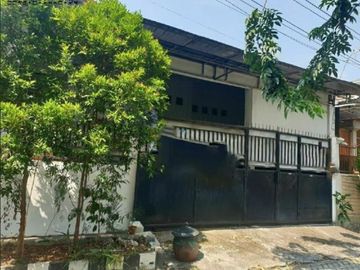 Rumah SUTOREJO TIMUR SUTOREJO TIMUR