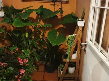 Departamento en venta en Carapachay