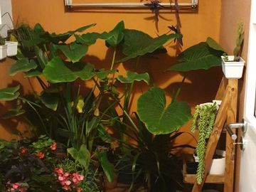 Departamento en venta en Carapachay