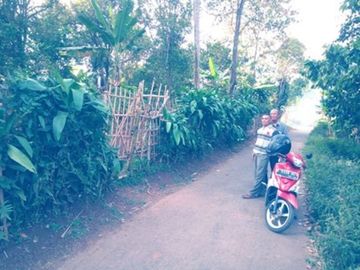 53 Tumbak Tanah Jalur Kuning di Desa Sukatani, Ngamprah, Bandung Barat