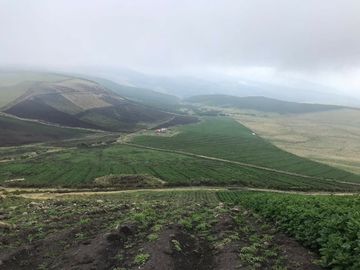 LINDA HACIENDA DE 40 HECTÁREAS EN LOS ALTOS DE PIFO
