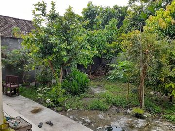 RUMAH TYPE BESAR 6 KT DI KAWASAN PIYUNGAN BANTUL