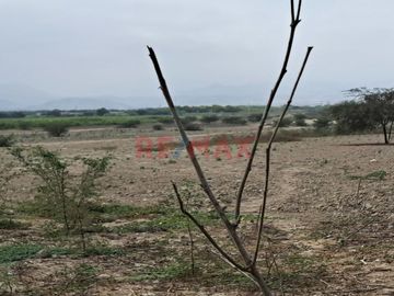Terreno agrícola en la Urb. “La Ponderosa “, a solo 5 minutos de la Municipalidad y Plaza de “El Carmen”, ubicada entre la carretera camino a la hacie