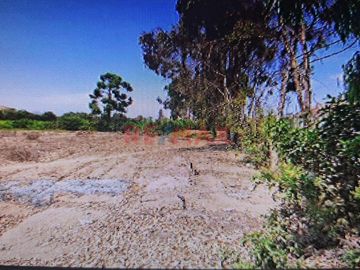 Terreno agrícola en la Urb. “La Ponderosa “, a solo 5 minutos de la Municipalidad y Plaza de “El Carmen”, ubicada entre la carretera camino a la hacie