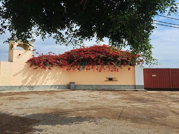 Terreno agrícola en la Urb. “La Ponderosa “, a solo 5 minutos de la Municipalidad y Plaza de “El Carmen”, ubicada entre la carretera camino a la hacie