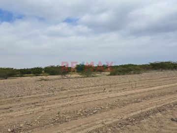Terreno agrícola en la Urb. “La Ponderosa “, a solo 5 minutos de la Municipalidad y Plaza de “El Carmen”, ubicada entre la carretera camino a la hacie