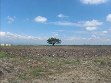 FINCA HACIENDA PUERTO TEJADA