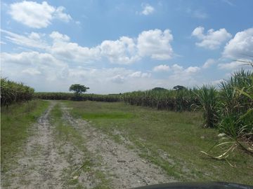 FINCA HACIENDA PUERTO TEJADA