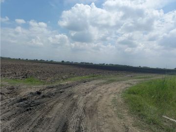 FINCA HACIENDA PUERTO TEJADA