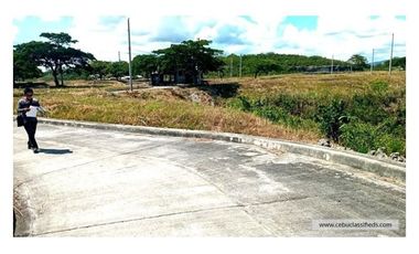 Very Affordable 101 Sqm Lot for Sale in Aspen Heights Consolacion Cebu