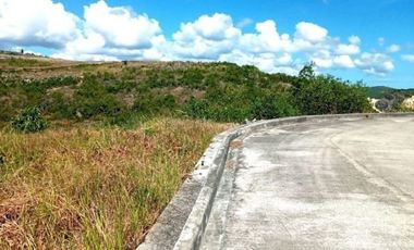 Very Affordable 101 Sqm Lot for Sale in Aspen Heights Consolacion Cebu